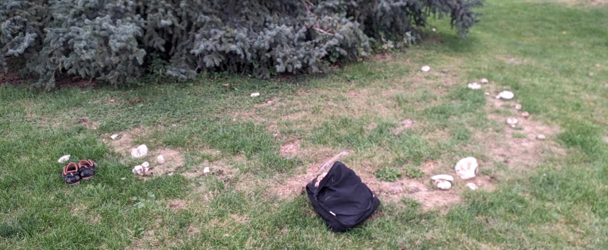 a full bag
