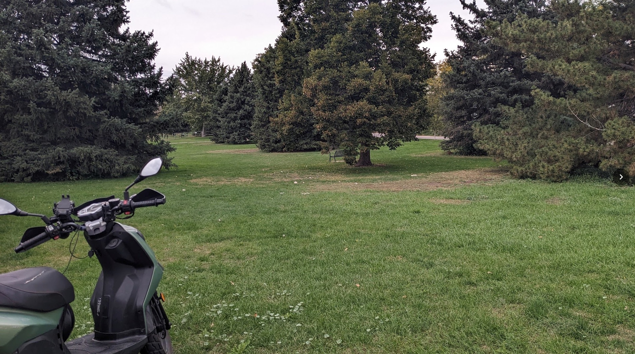 found mushrooms here